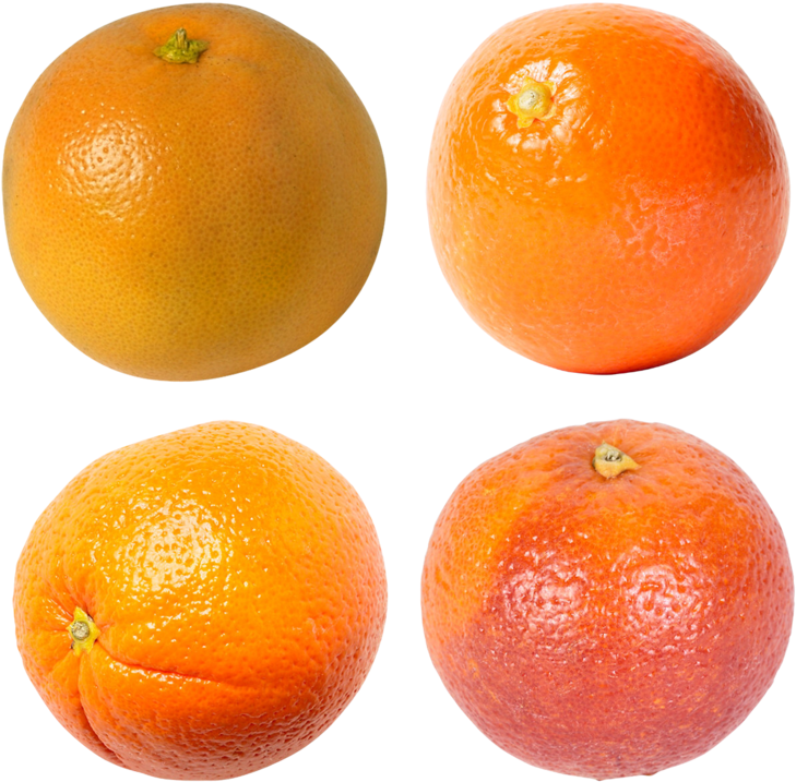 Varietyof Mandarins Image PNG