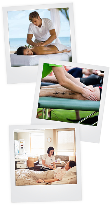 Varietyof Massage Therapies PNG