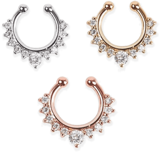 Varietyof Nose Rings Designs PNG