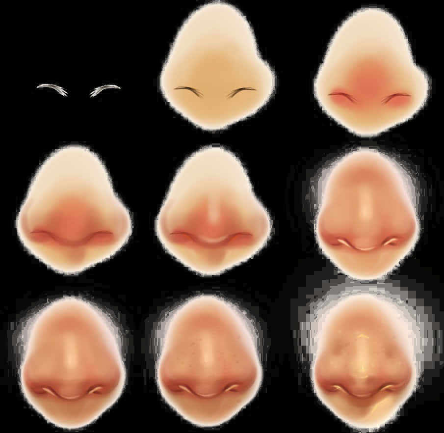 Varietyof Noses Illustration PNG