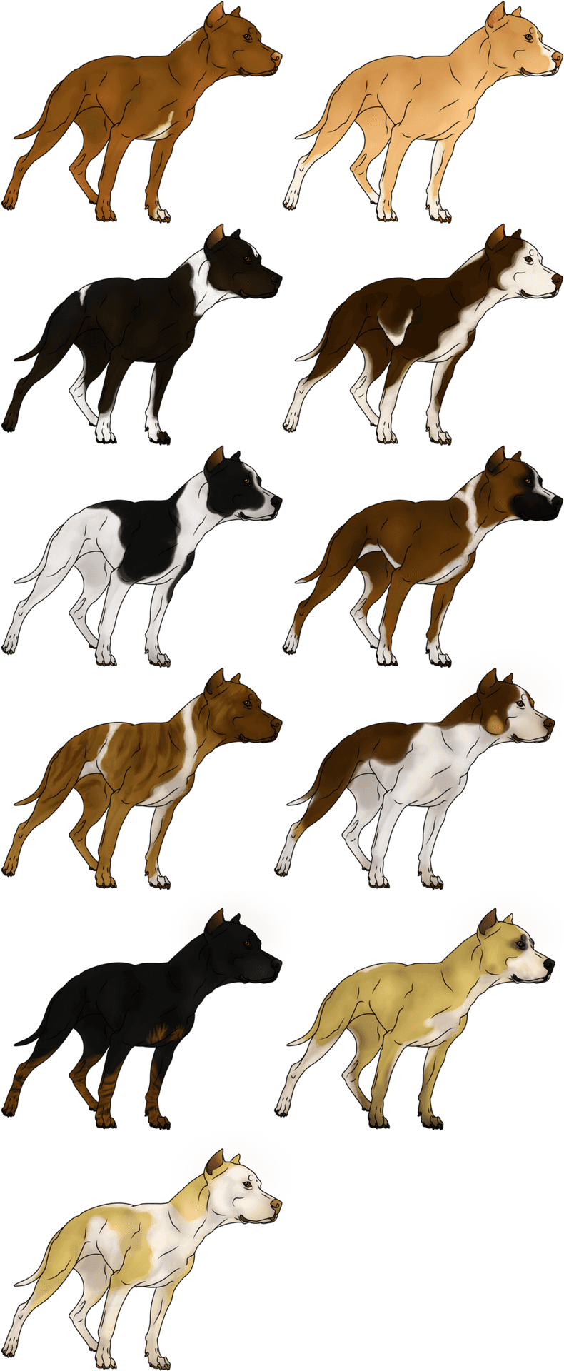 Varietyof Pitbull Breeds Illustration PNG