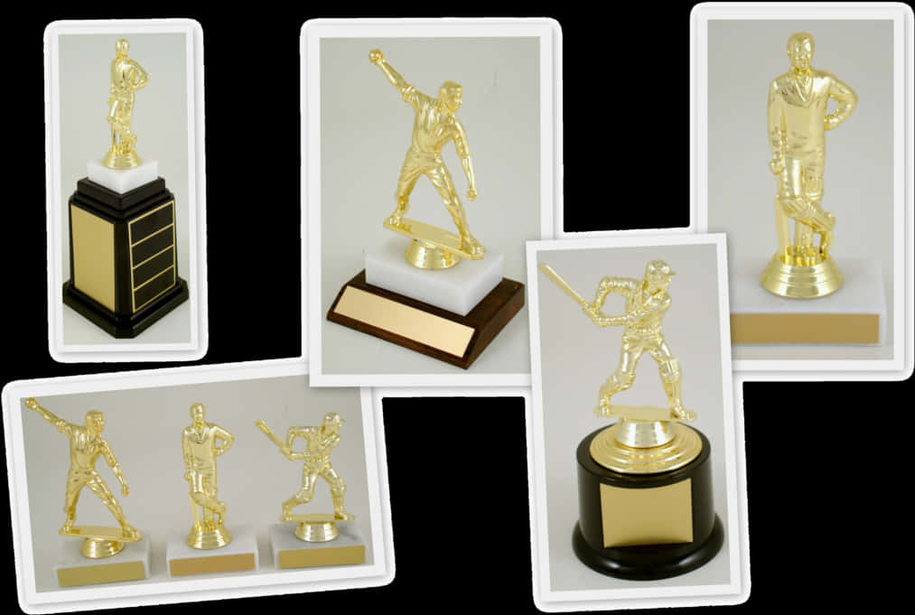 Varietyof Sports Trophies Collection PNG