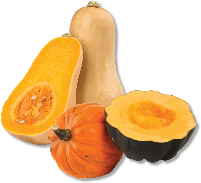 Varietyof Squash Display.png PNG