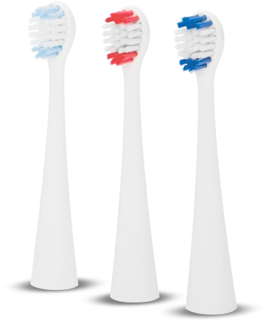 Download Varietyof Toothbrush Heads | Wallpapers.com