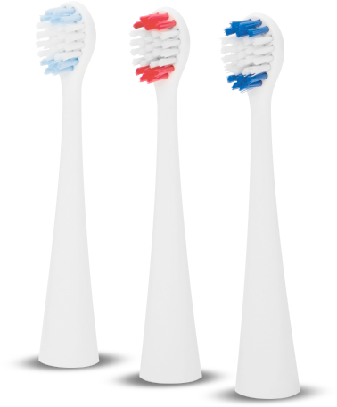 Varietyof Toothbrush Heads PNG