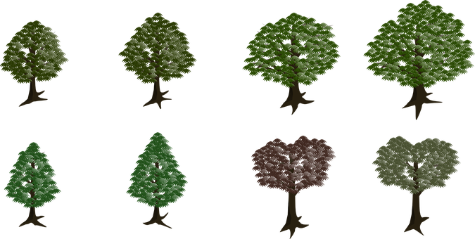 Varietyof Trees Graphic Design PNG