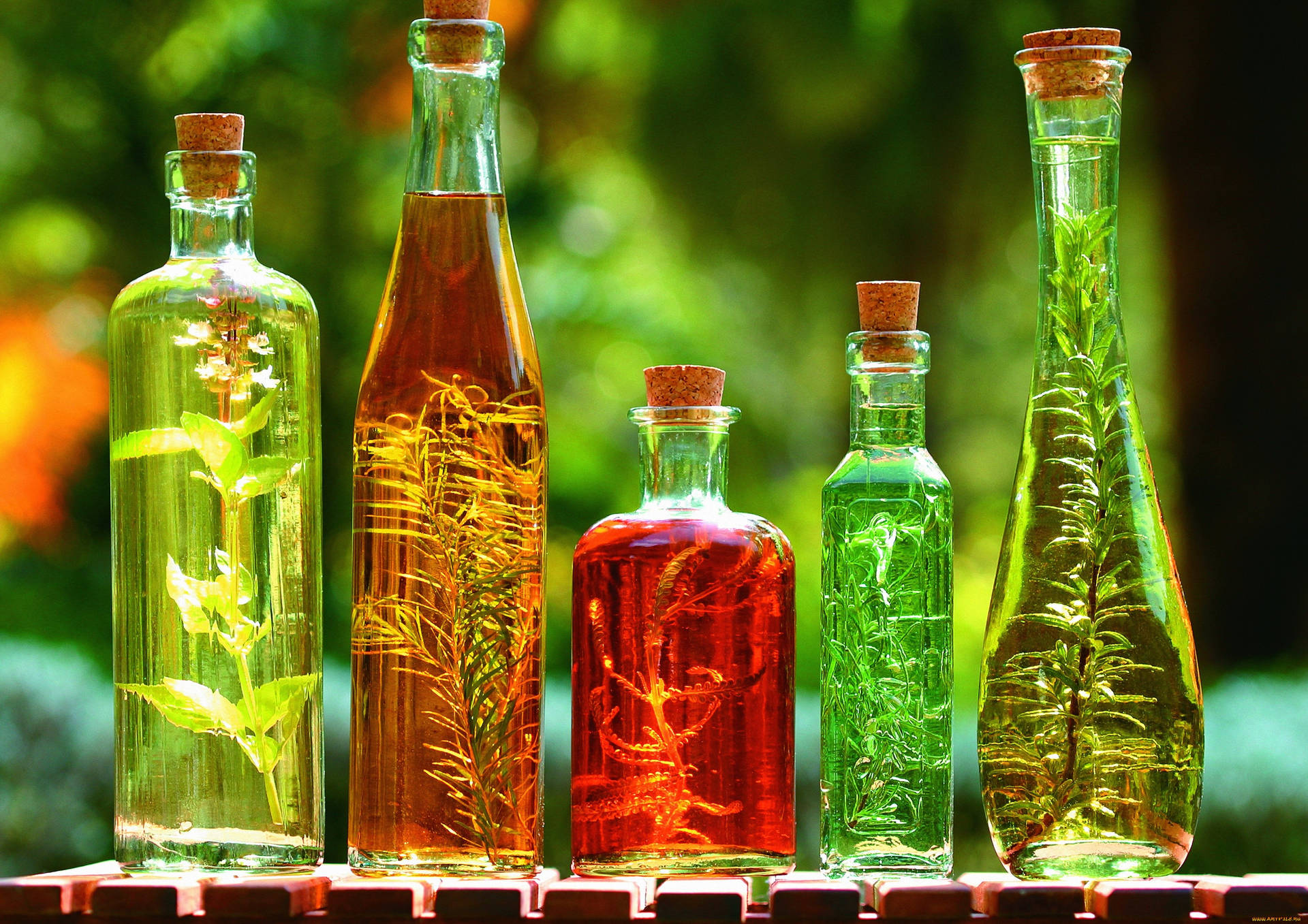 Various Bottled Herbs And Spices Wallpaper