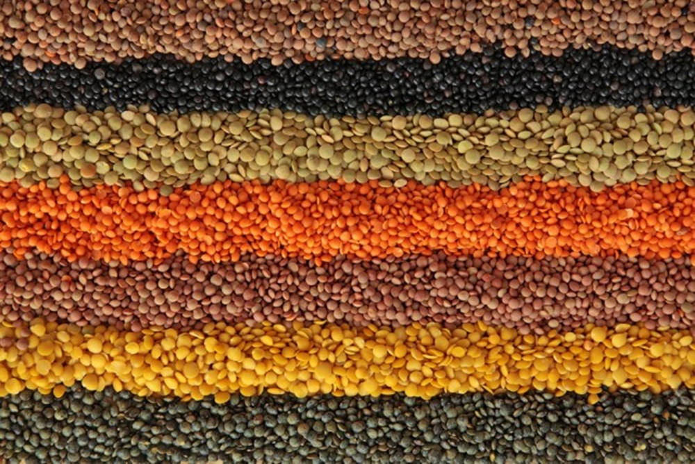 Various Hues Of Lentils Wallpaper