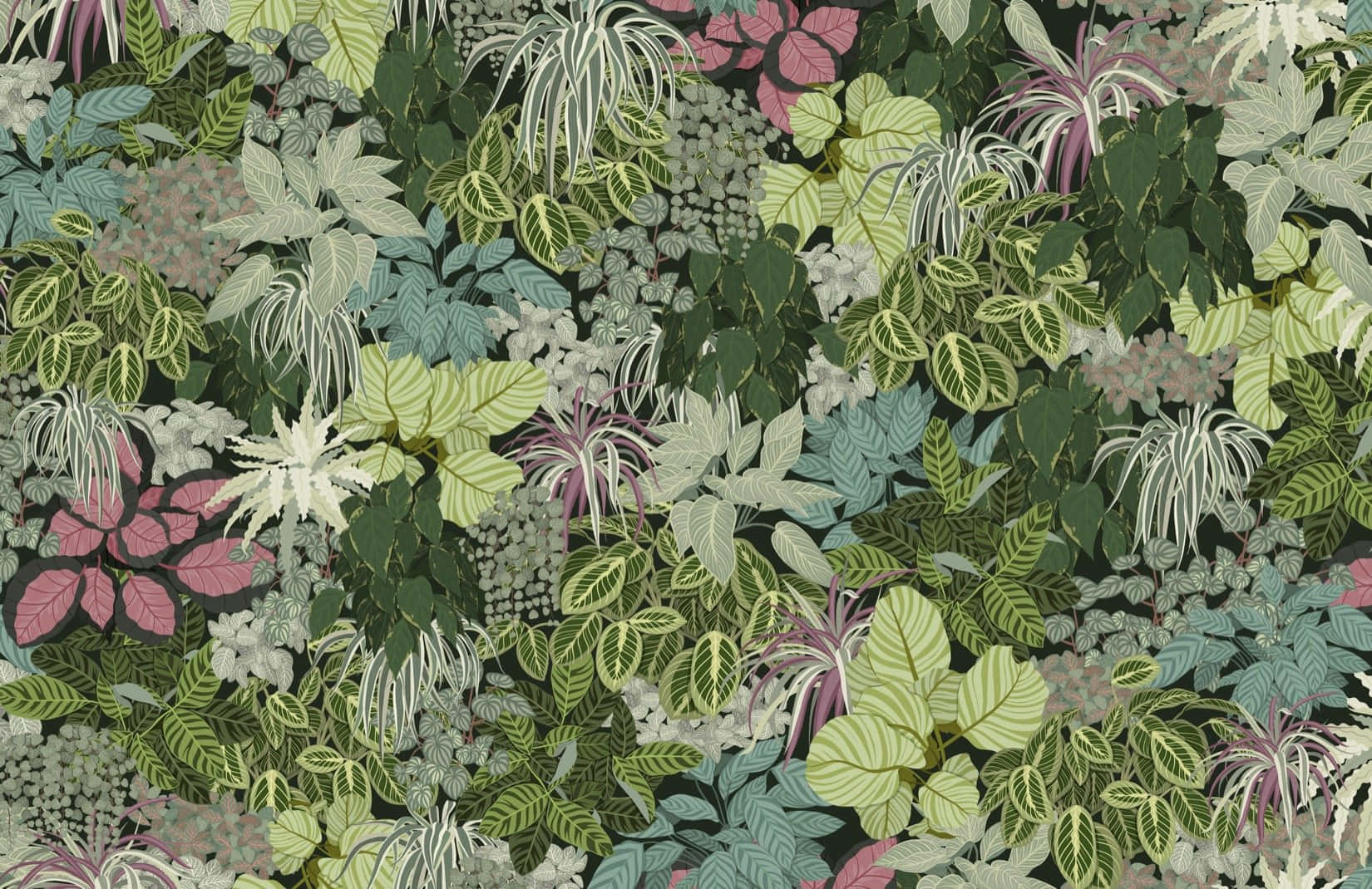 Various Leaves Of Shrubs Digital Art Wallpaper