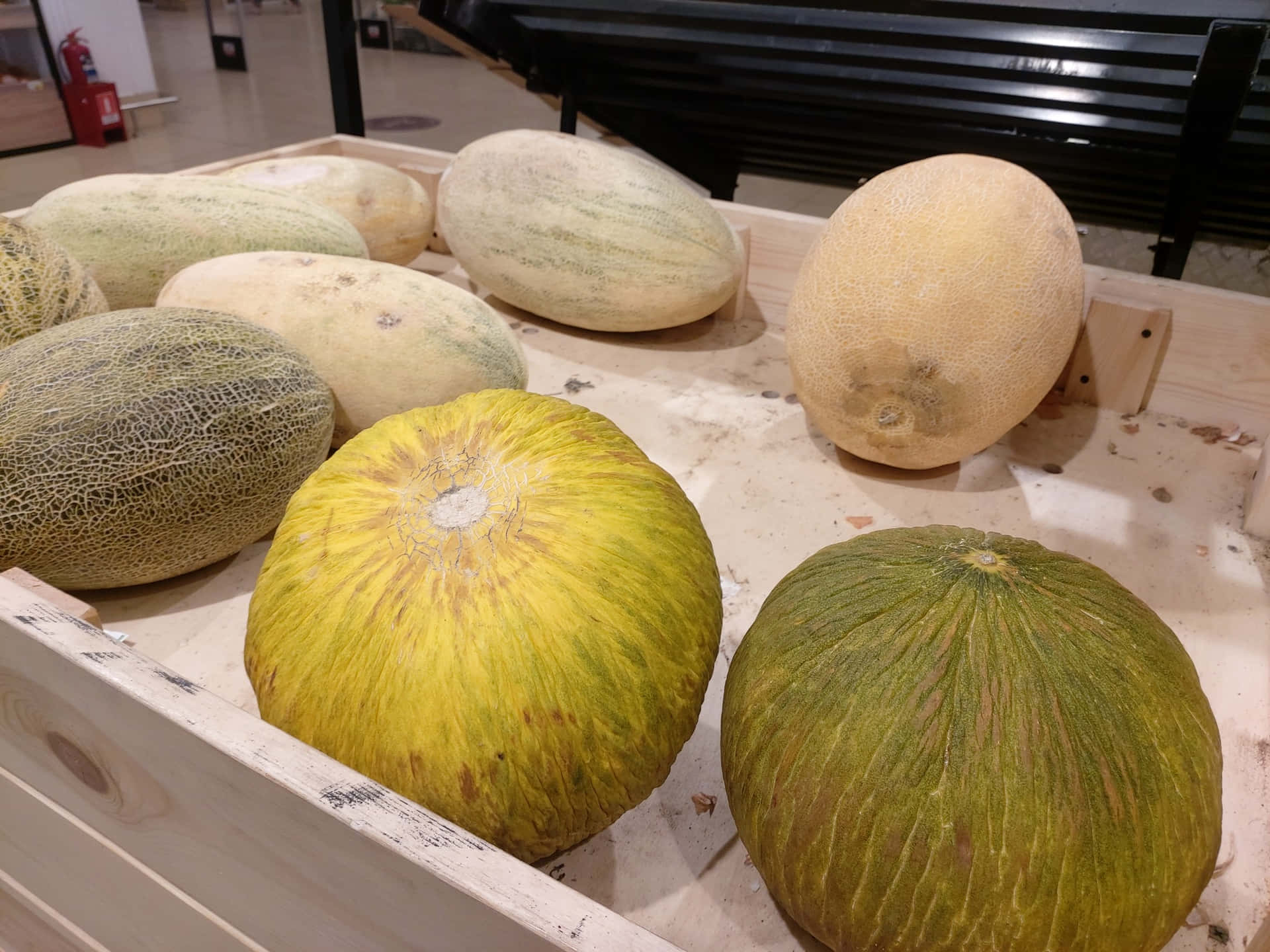 Various Shaped Casaba Melon Fruits Wallpaper