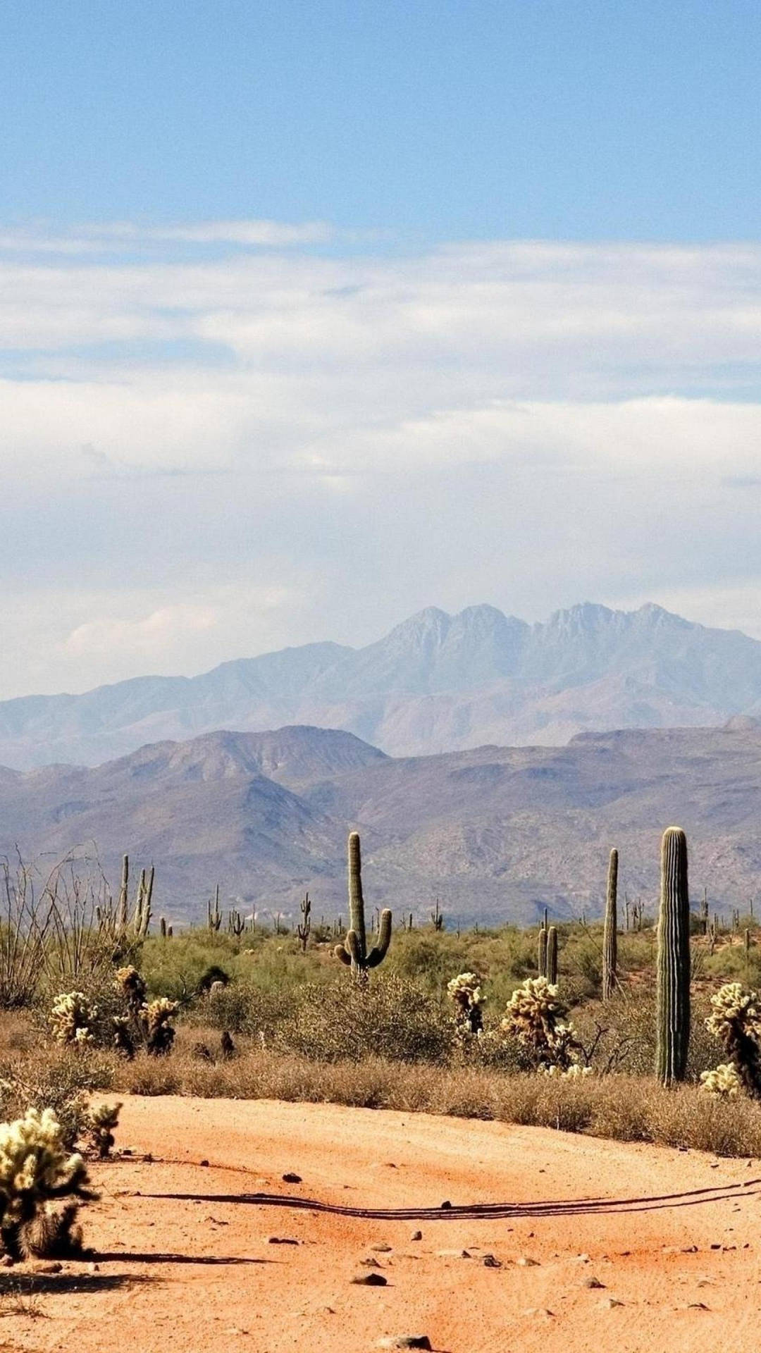Vistaamplia Del Desierto De Arizona Fondo de pantalla