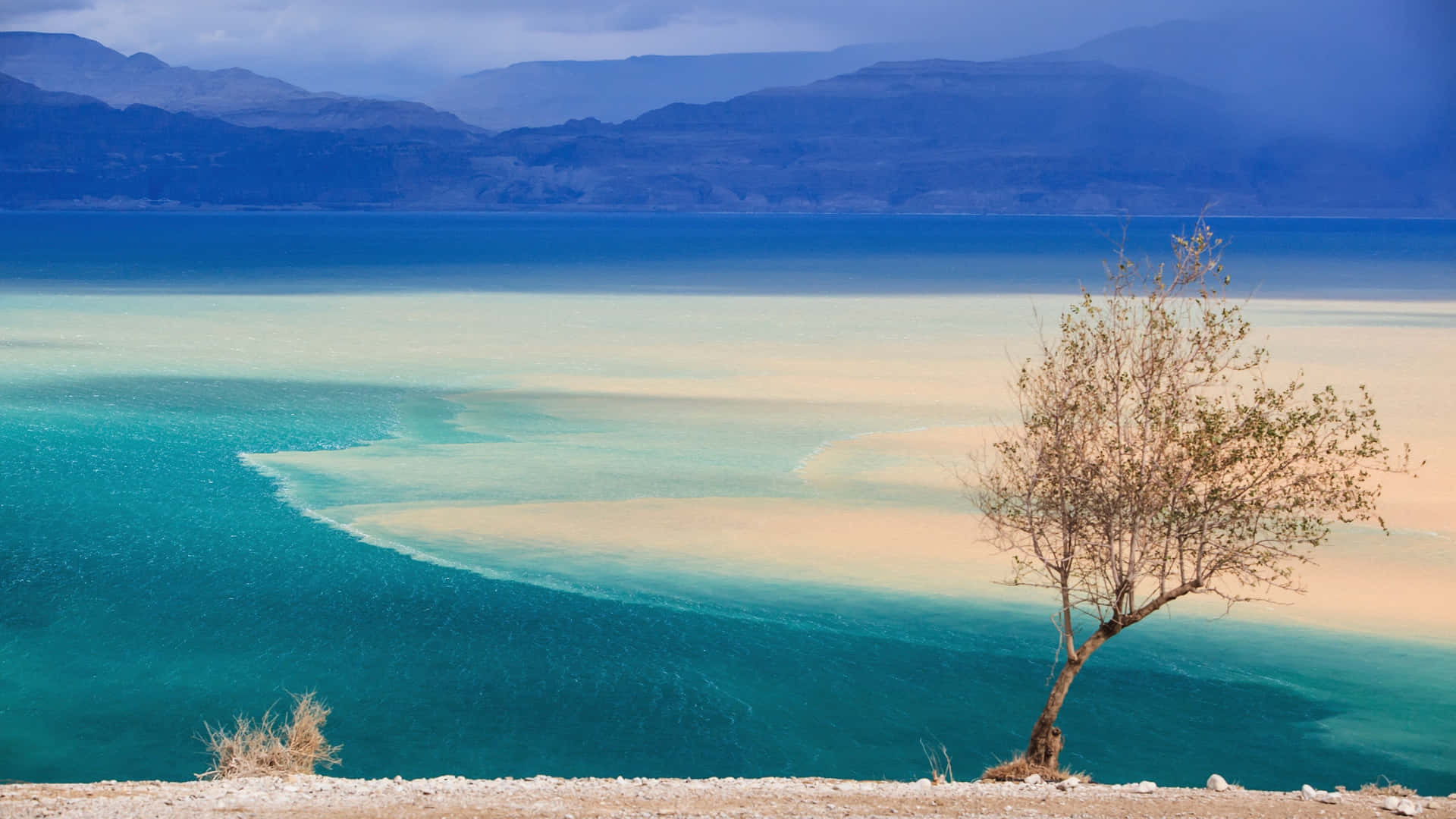 Amplitudeda Área De Areia Do Mar Morto. Papel de Parede