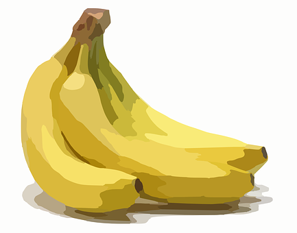 Vector Bananas Illustration PNG