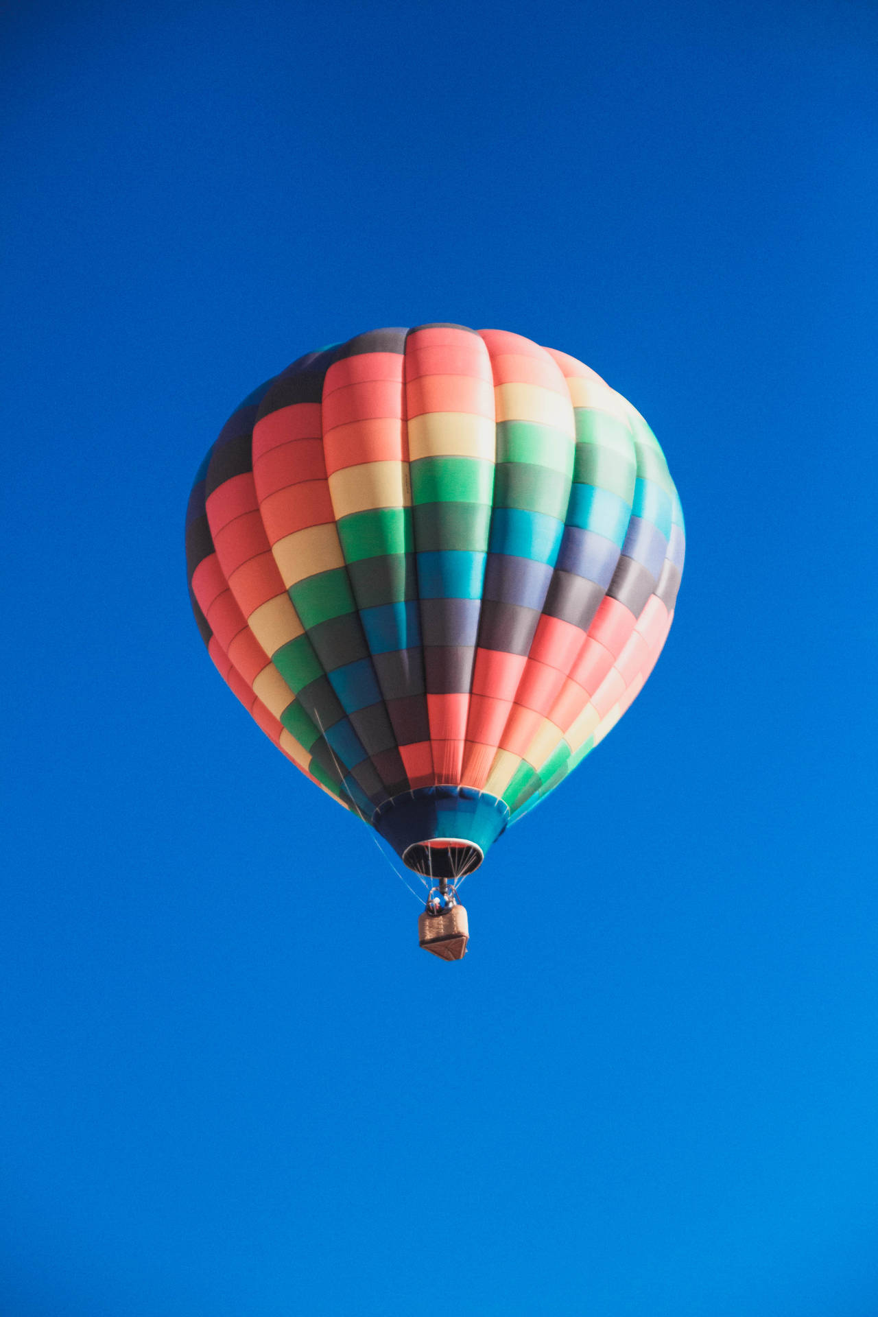 Graceful Hot Air Balloon Ascension Wallpaper