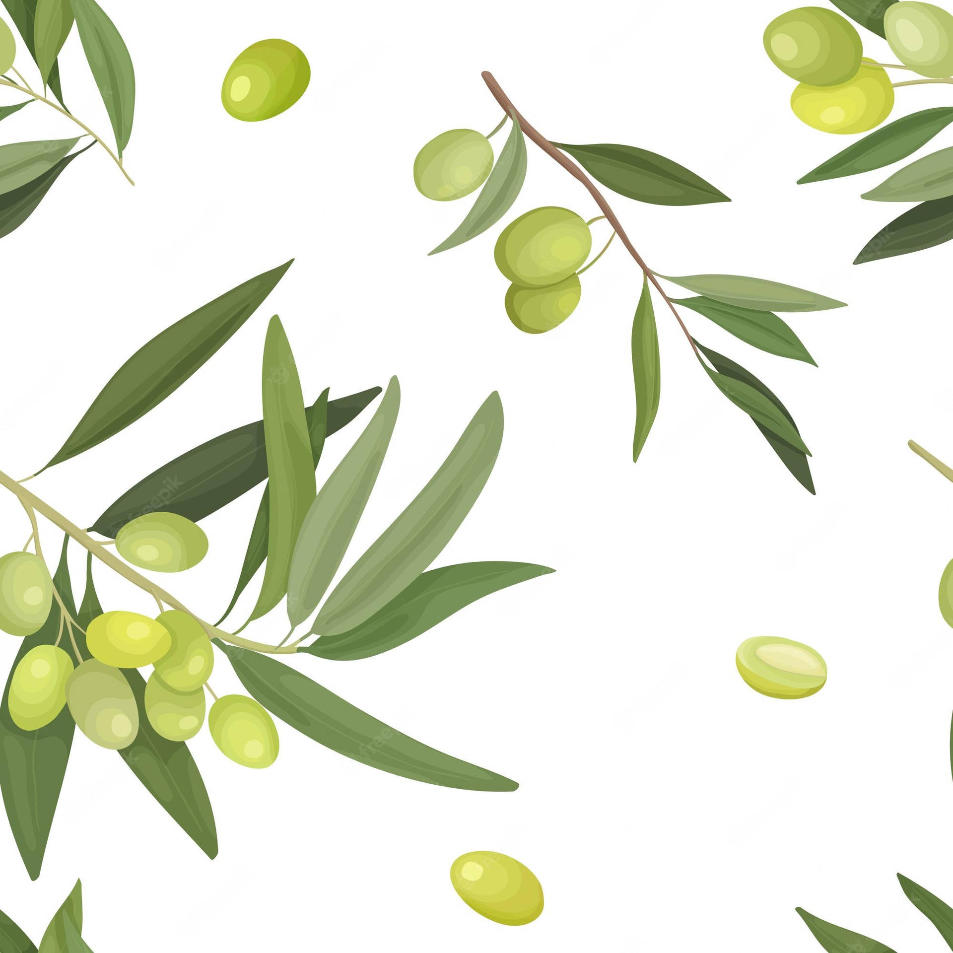 Vektorillustration Einer Grünen Olivenfrucht. Wallpaper