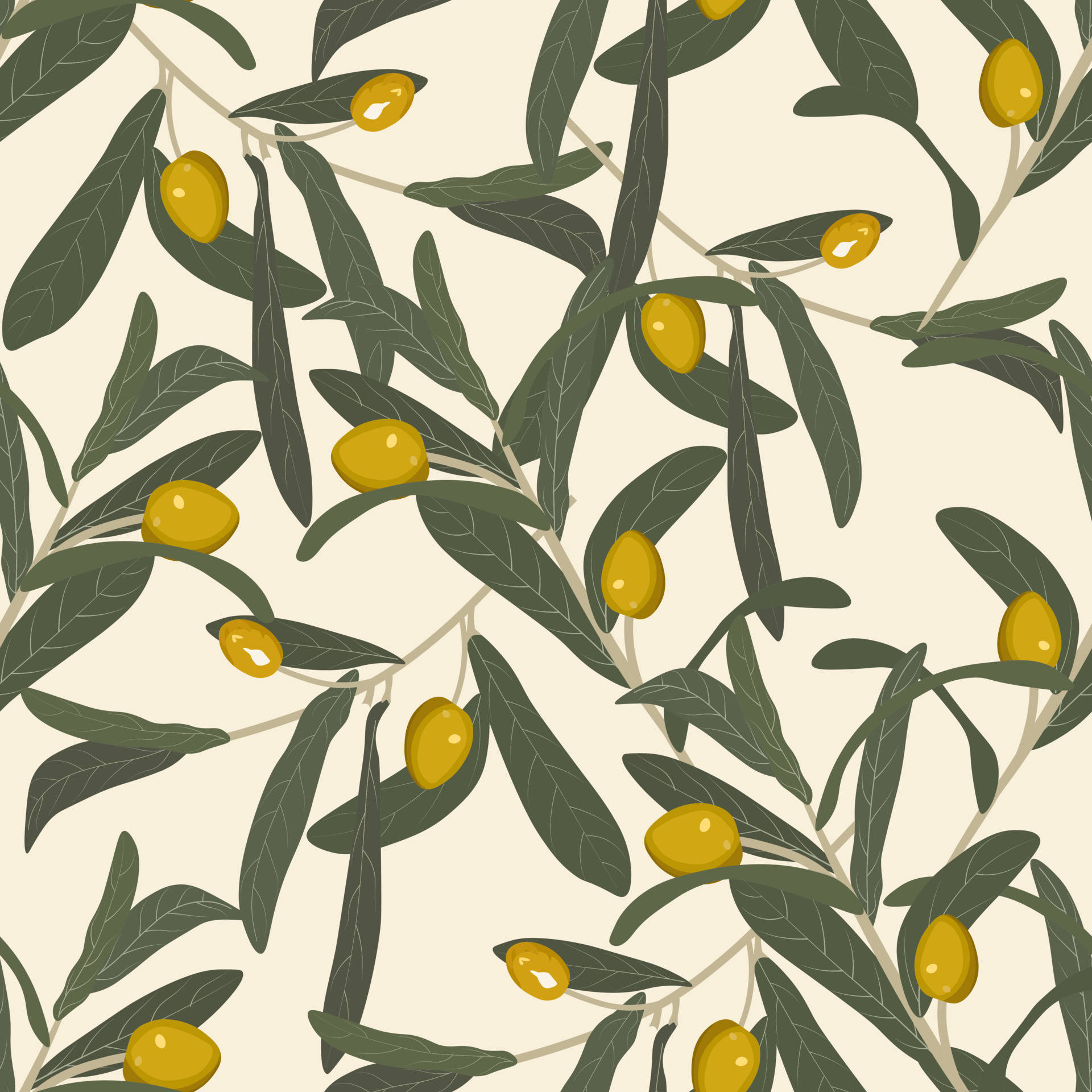 Vector Illustration Olive Branch Wallpaper