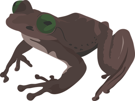 Vector Illustrationof Frog PNG