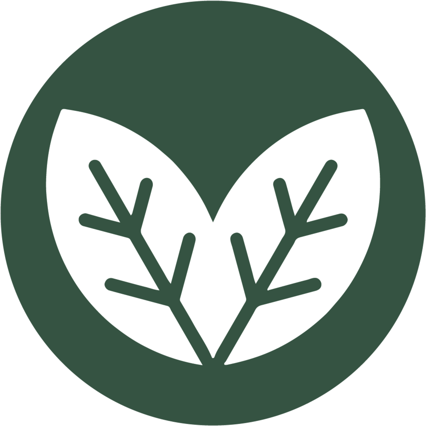 Vegan Symbol Green Background PNG
