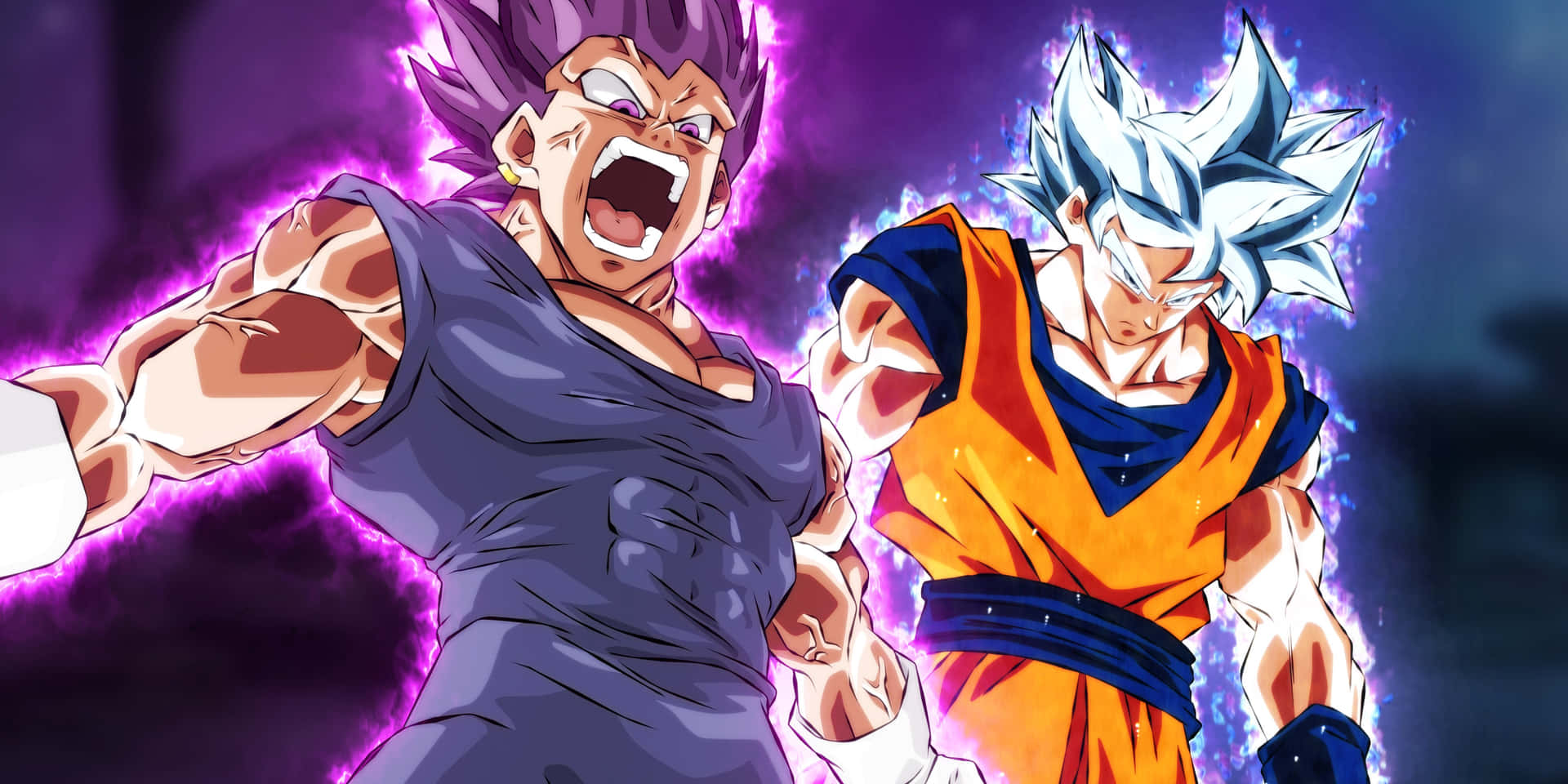 Vegeta Dan Goku Dalam Bentuk Ultra Instinct Wallpaper