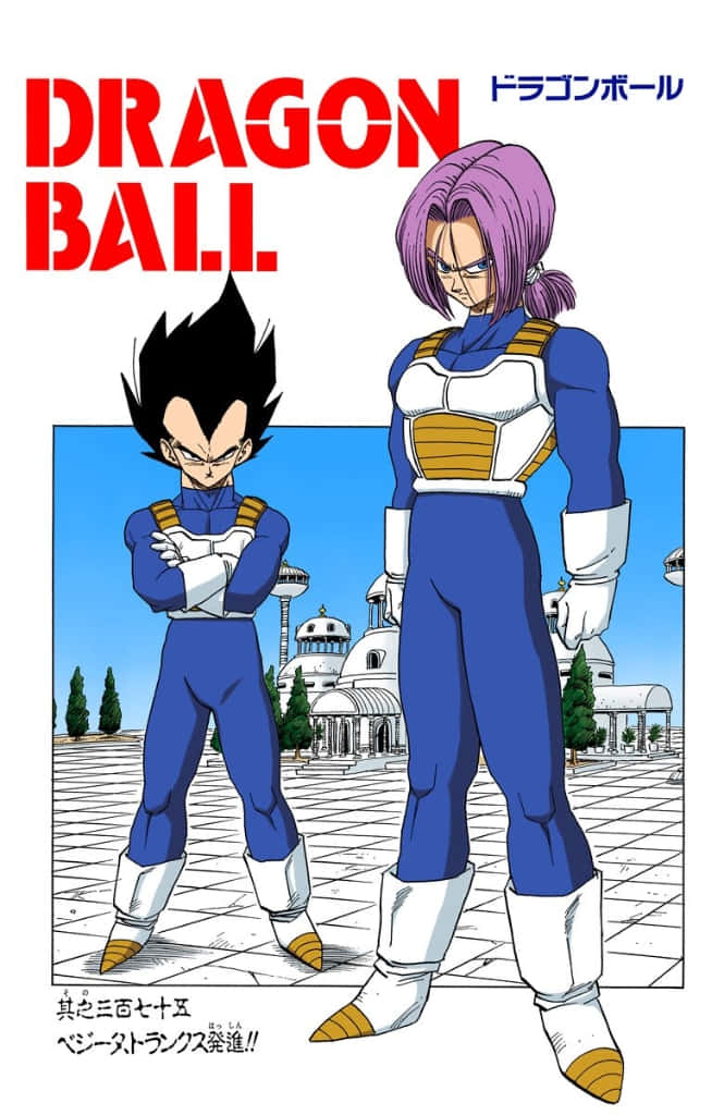 Download Father And Son Power Duo Vegeta And Trunks In Battle Stance Wallpaper 2616