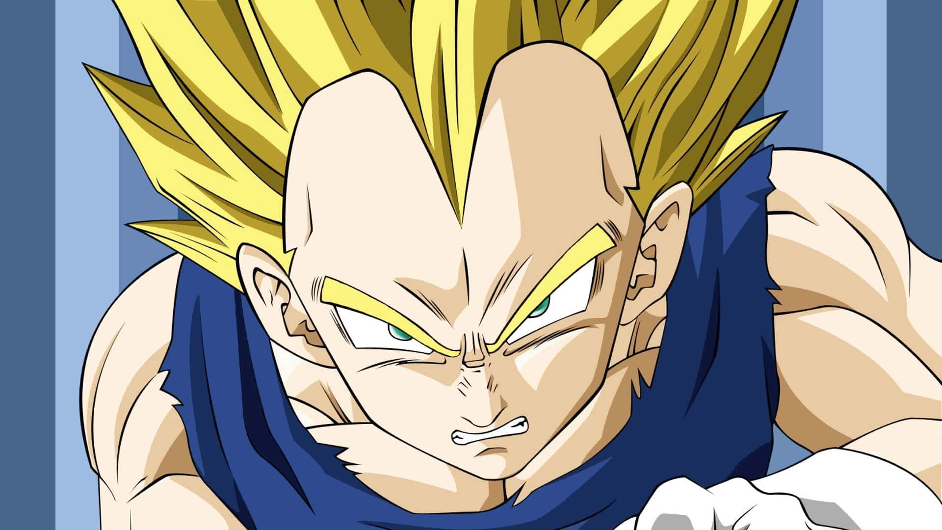 Angry Vegeta Picture