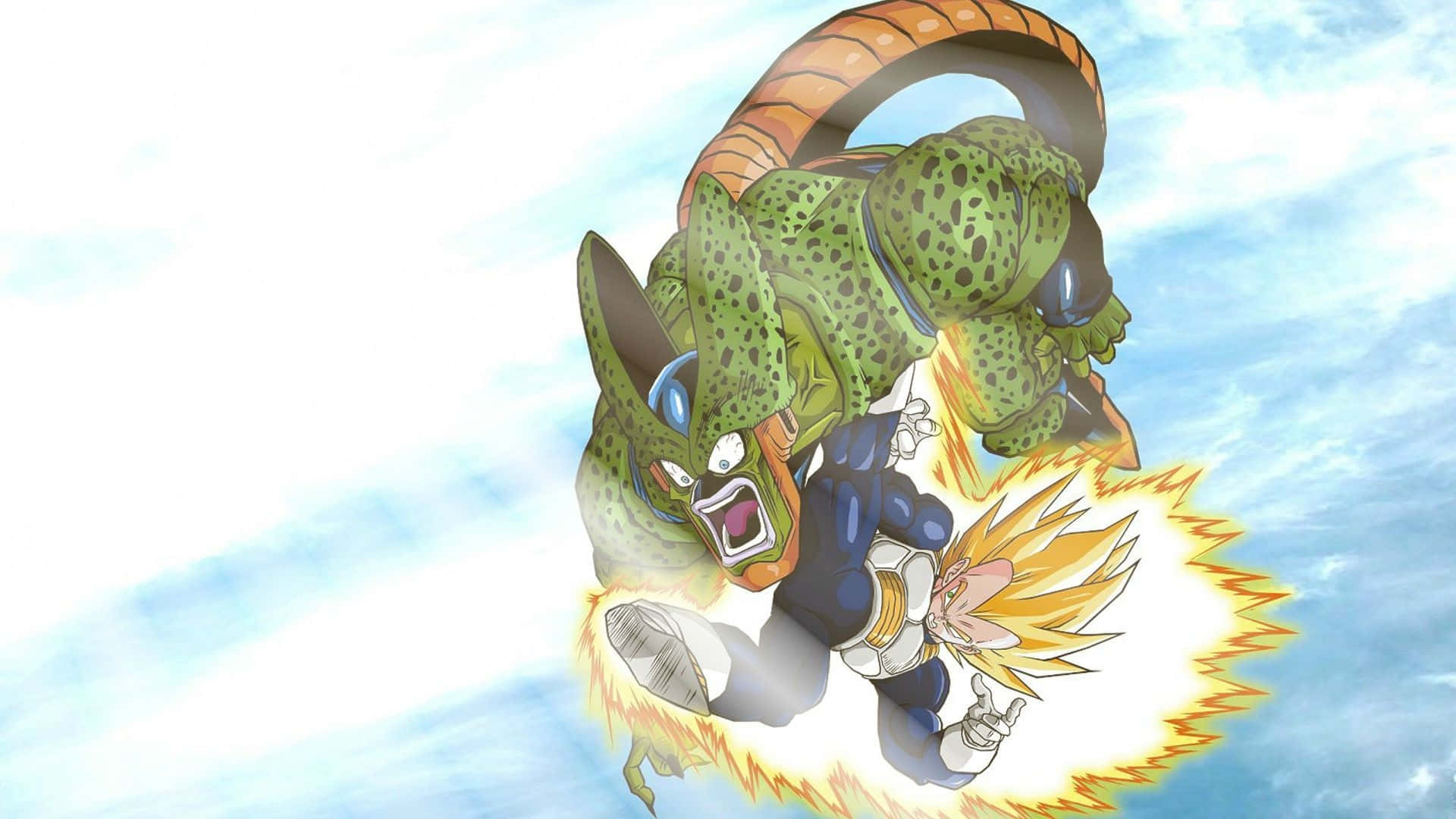 Vegeta Fight Cell Picture