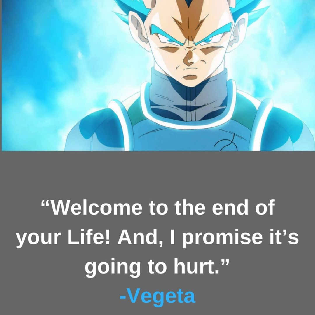 Inspirational Vegeta Quote on Perseverance and Power Wallpaper
