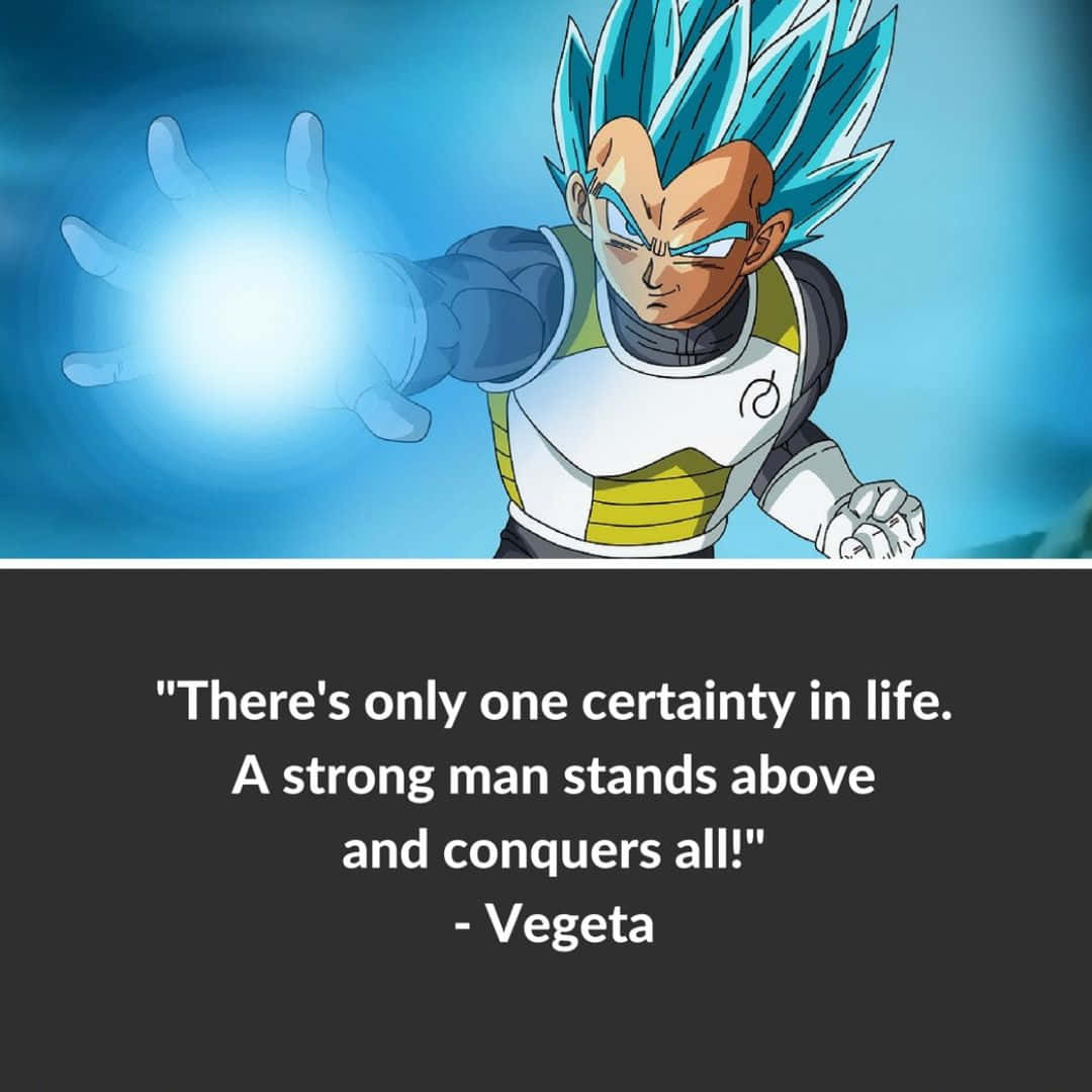 Inspirational Vegeta Quote on a Stunning Background Wallpaper