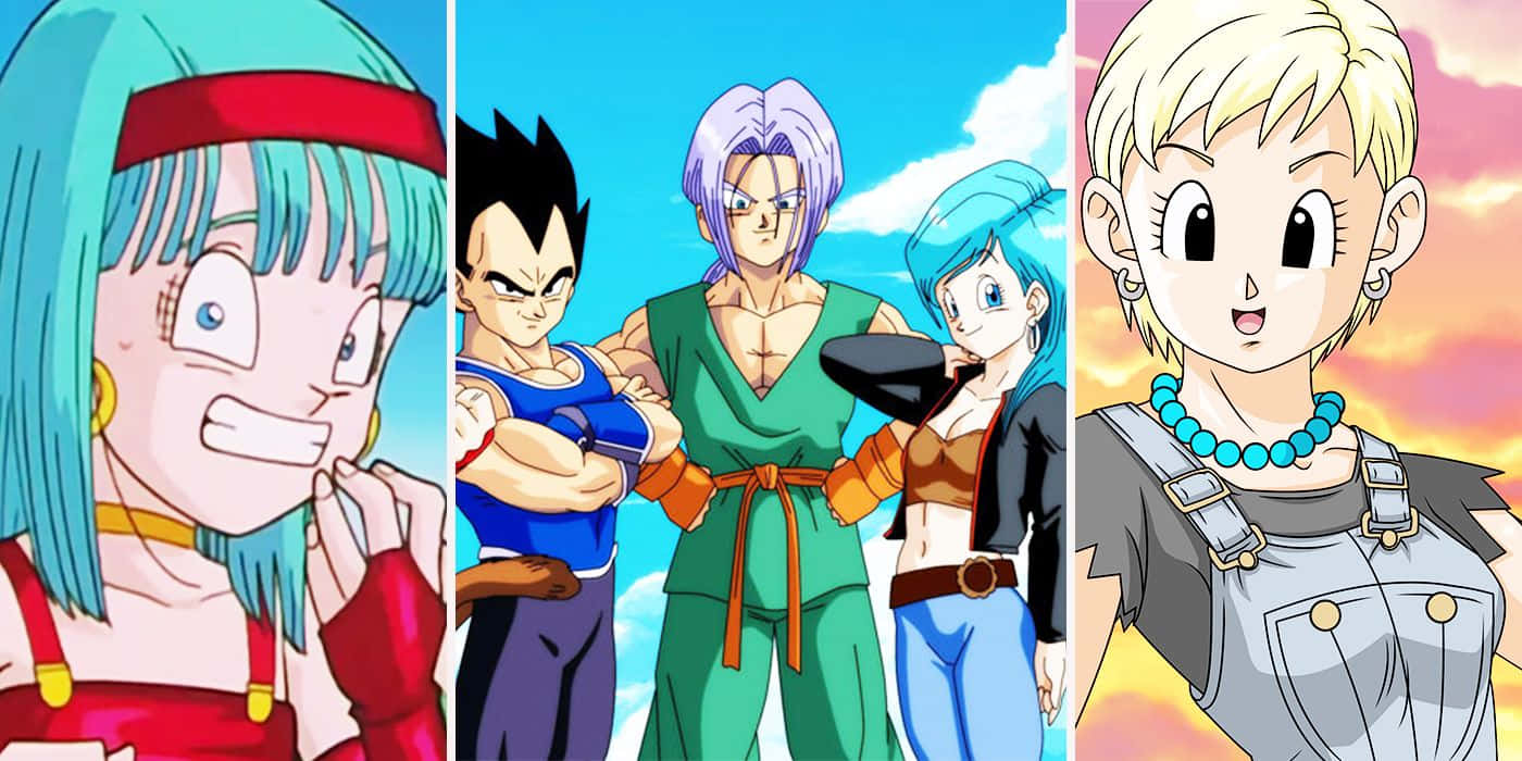 Vegeta's Family Portrait: Vegeta, Bulma, and Trunks in a Happy Moment Together Wallpaper