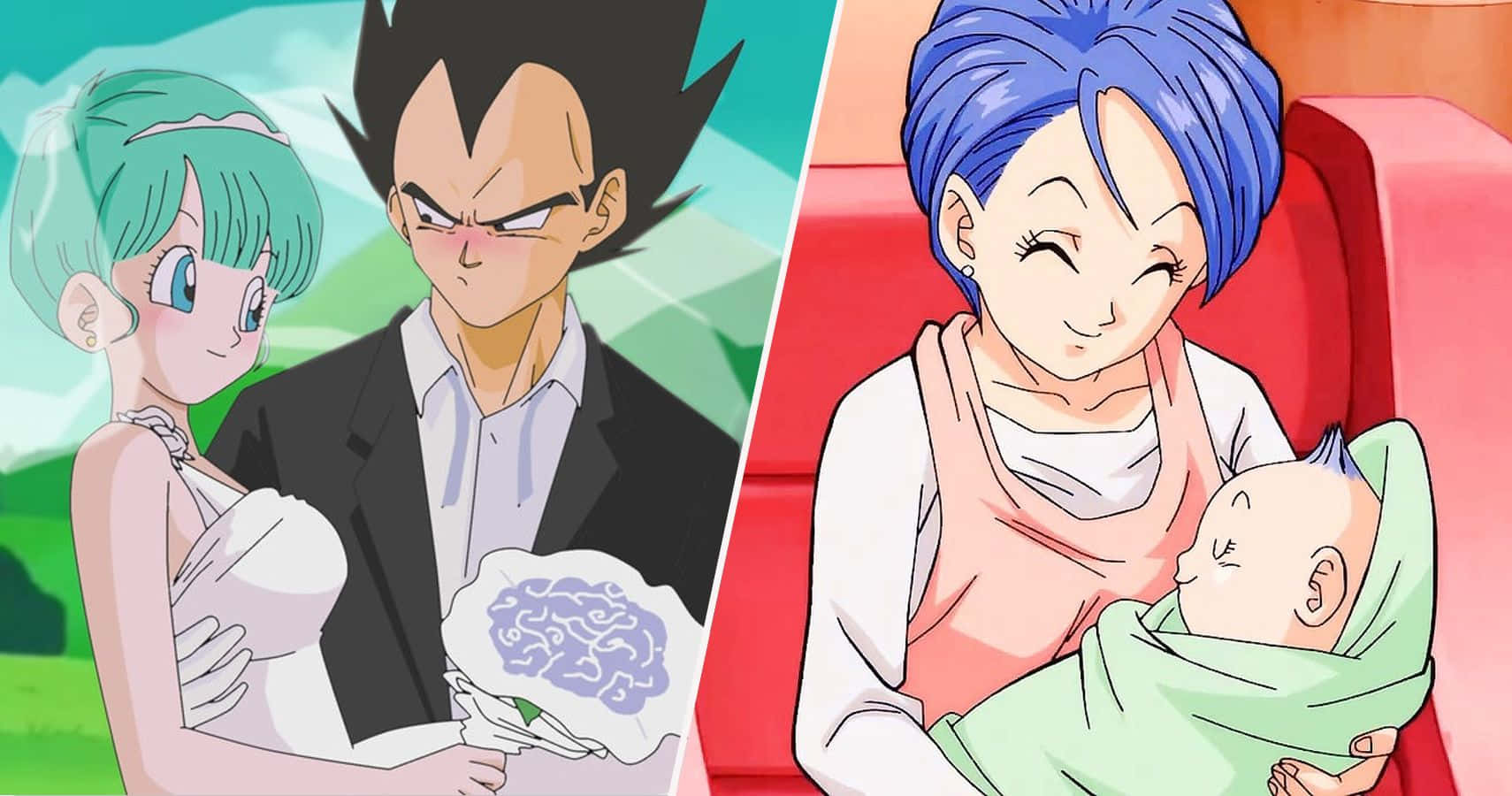 Vegeta's Family Portrait Wallpaper