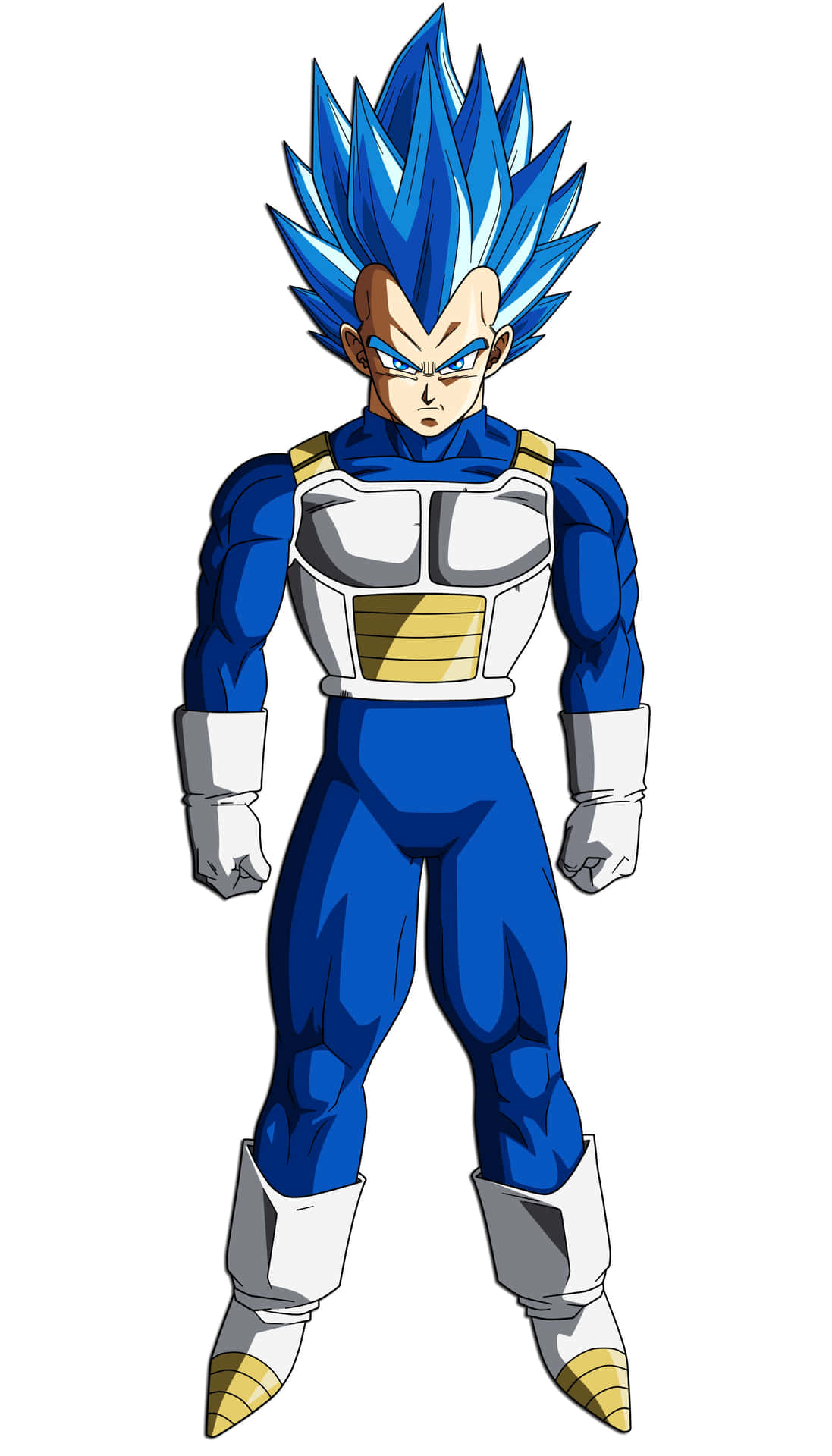 Learn How to Draw Vegeta in SSGSS Form Master Dragon Ball Art