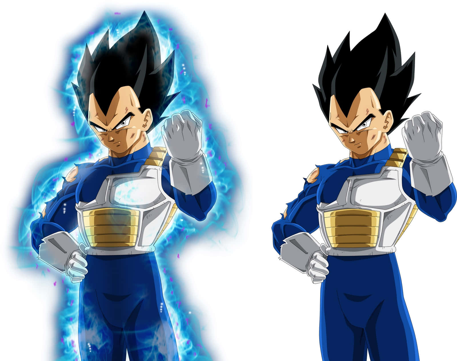 Download Vegeta Ultra Instinct 1600 X 1264 Wallpaper Wallpaper ...