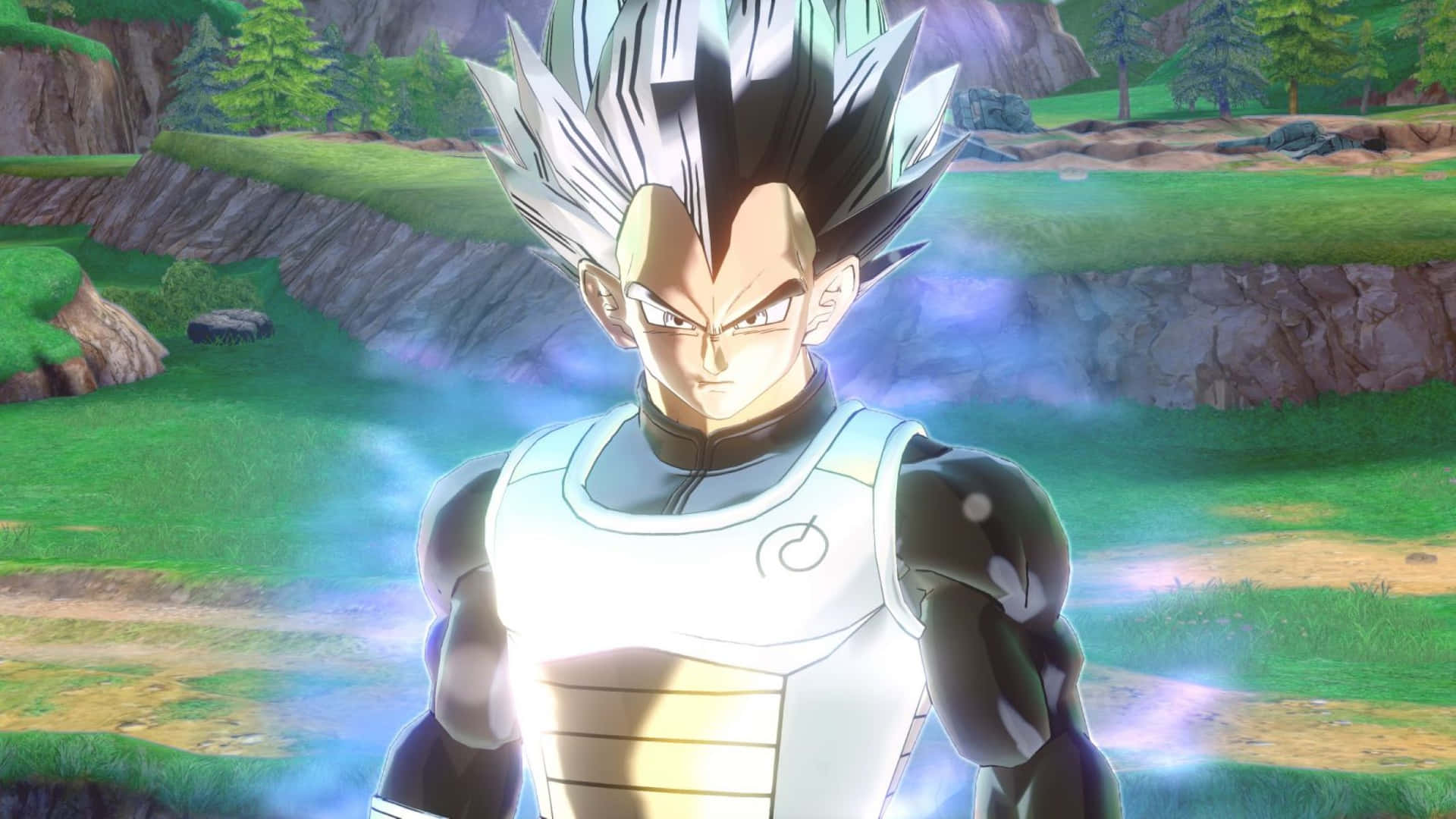 Vegeta Ultra Instinct Vorm Achtergrond