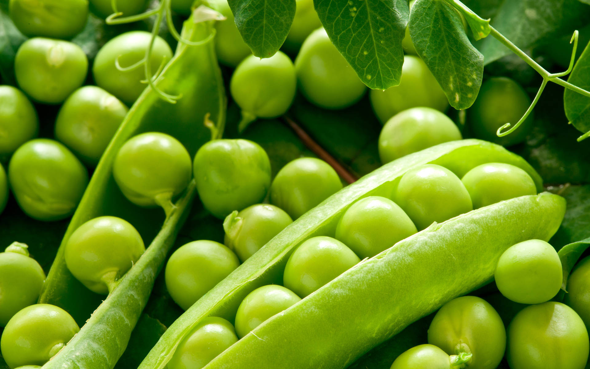 Vegetable Egyptian Green Peas With Leaves Wallpaper