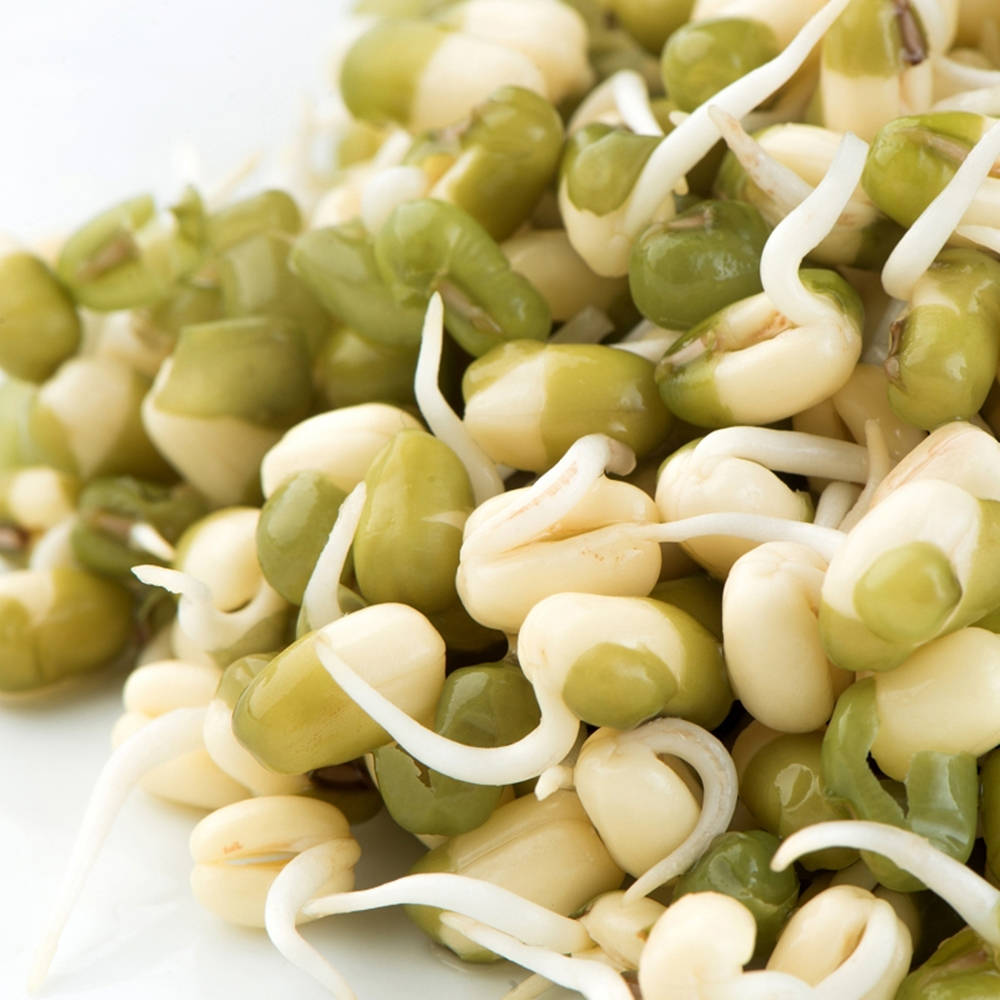 Vegetable Green Mung Bean Sprouts Background