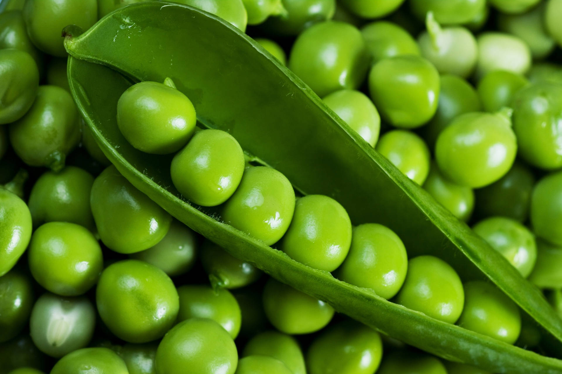 Vegetable Green Peas Inside Pod Wallpaper