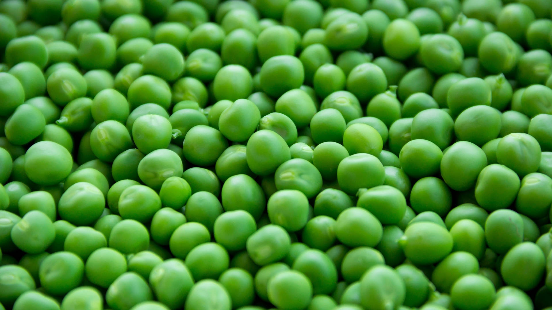 Vegetable Green Peas Pile Top View Wallpaper