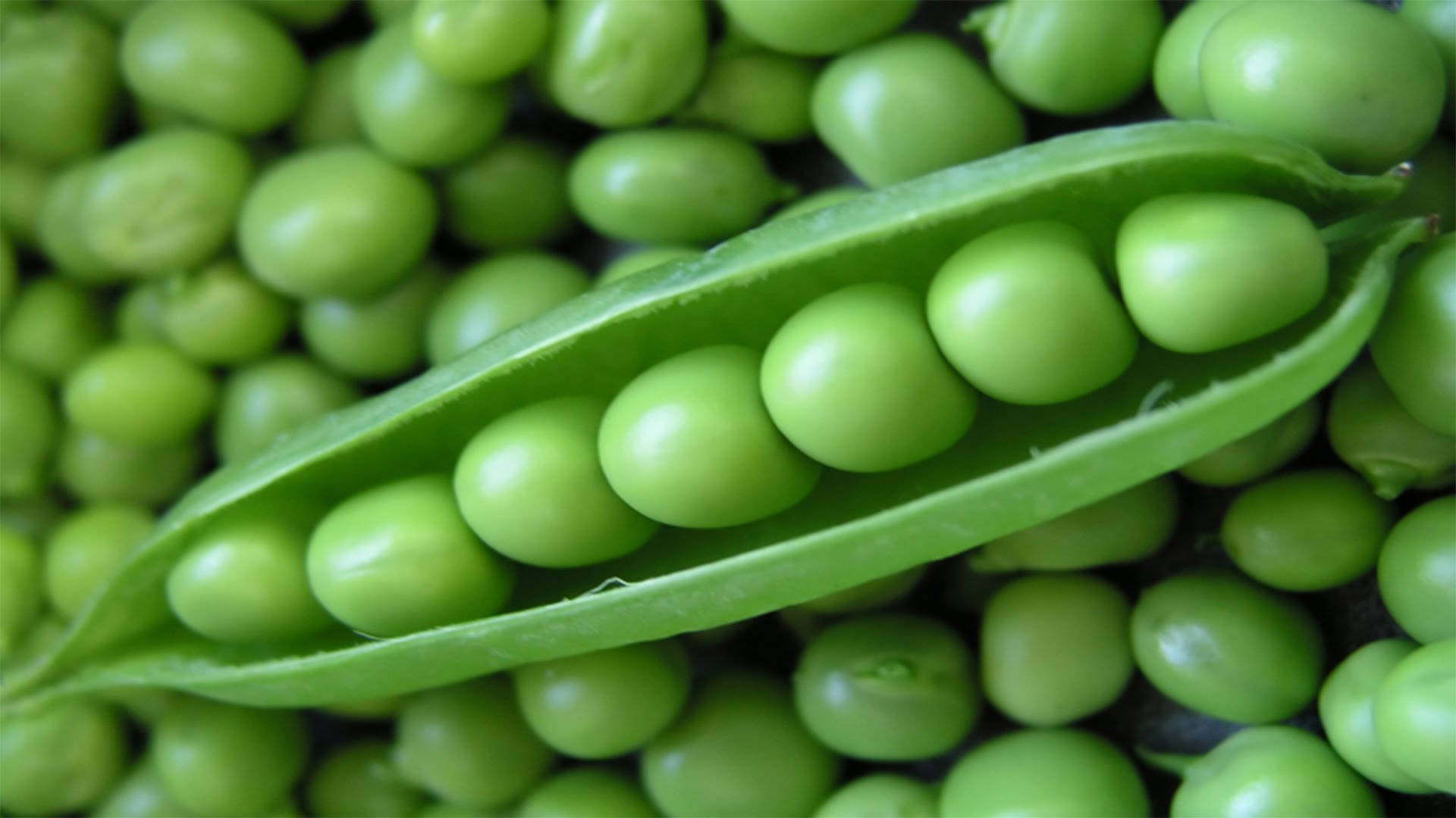 Vegetable Green Peas Pod Top View Shot Wallpaper