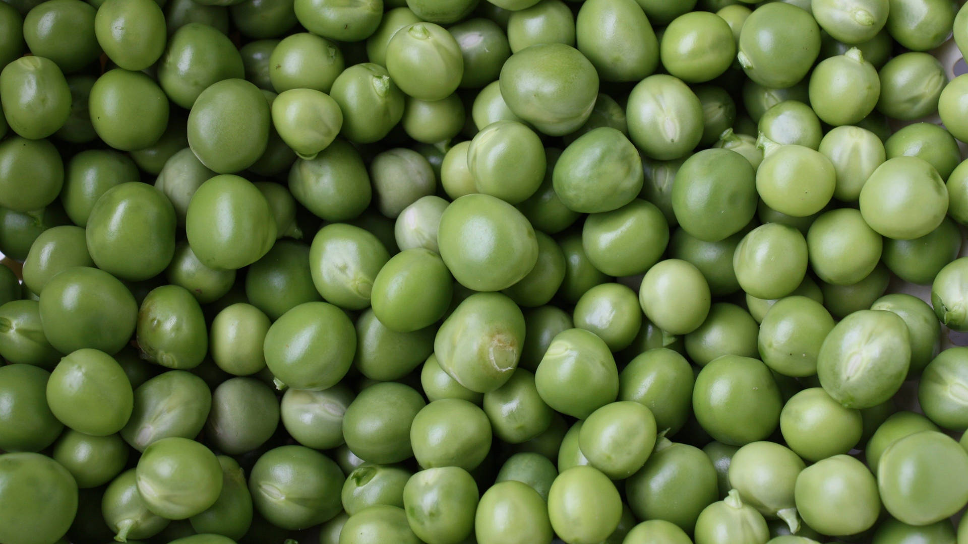 Vibrant and Fresh Green Peas Stacked in a Pile Wallpaper