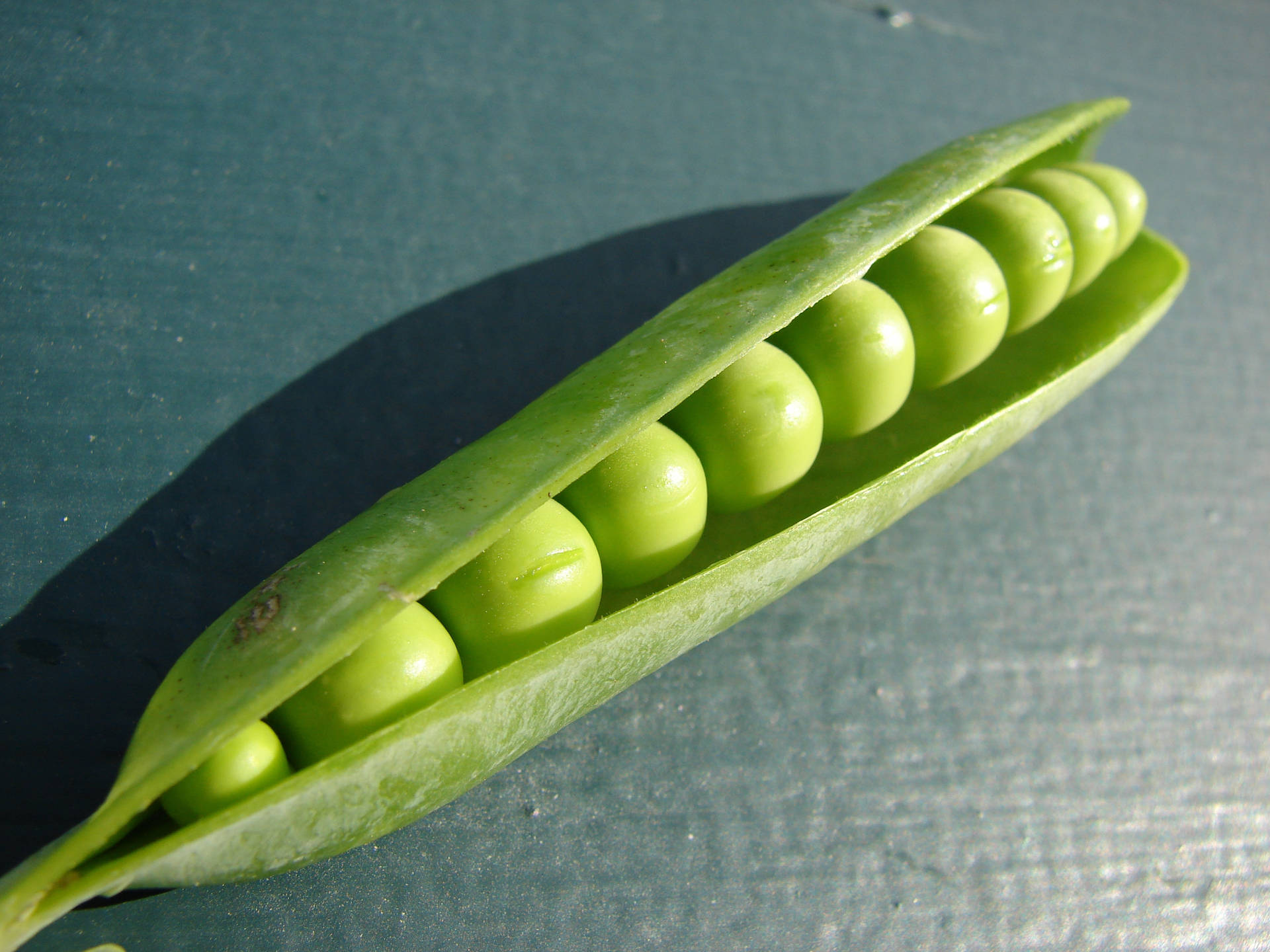 Vegetable Green Peas With Neatly Opened Pod Wallpaper