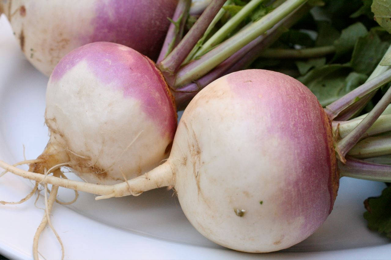 Vegetable Turnips On White Plate Wallpaper