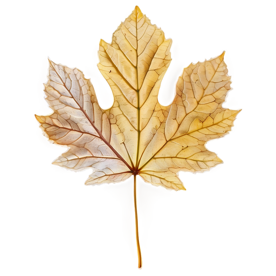 Veined Fall Leaf Png Usn15 PNG
