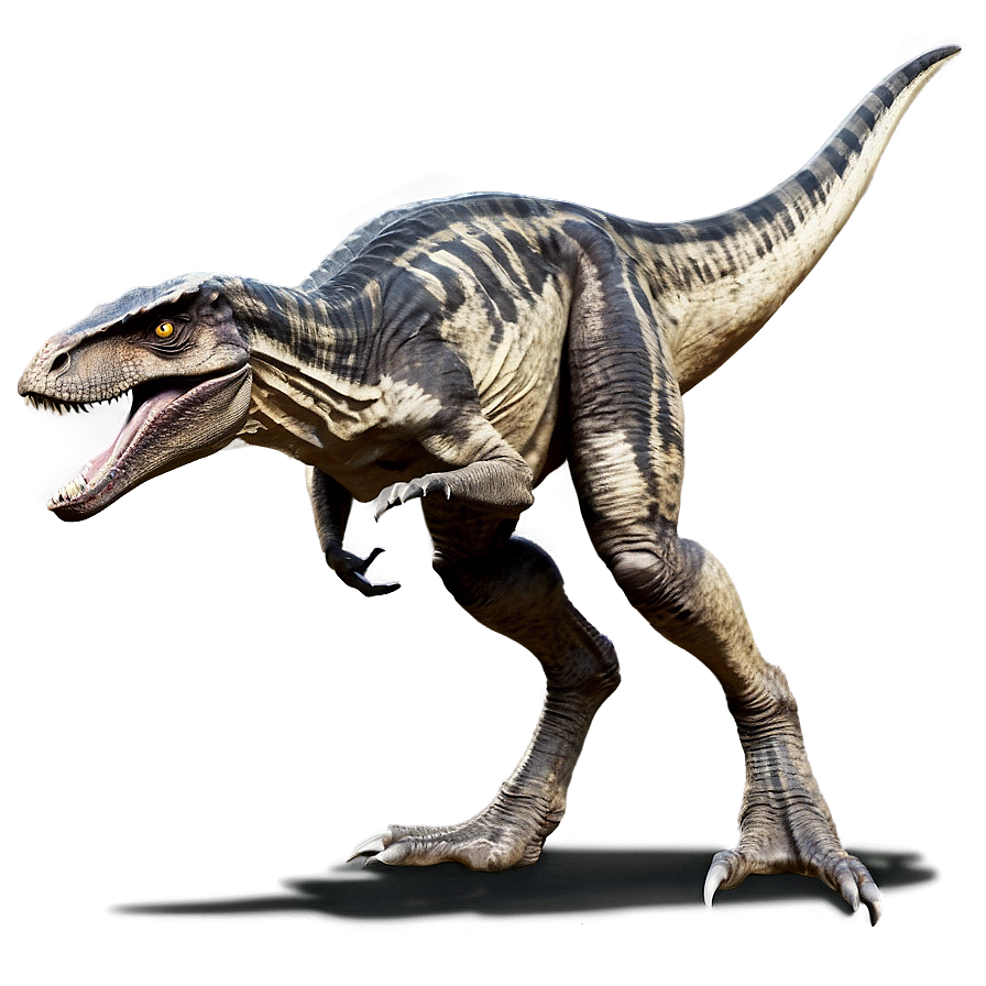 Velociraptor Dinosaur Battle Png Ceq PNG