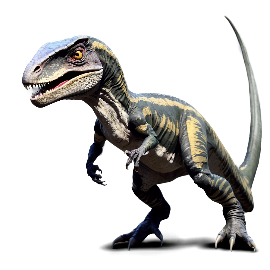 Velociraptor Evolution Theory Png Qxm47 PNG