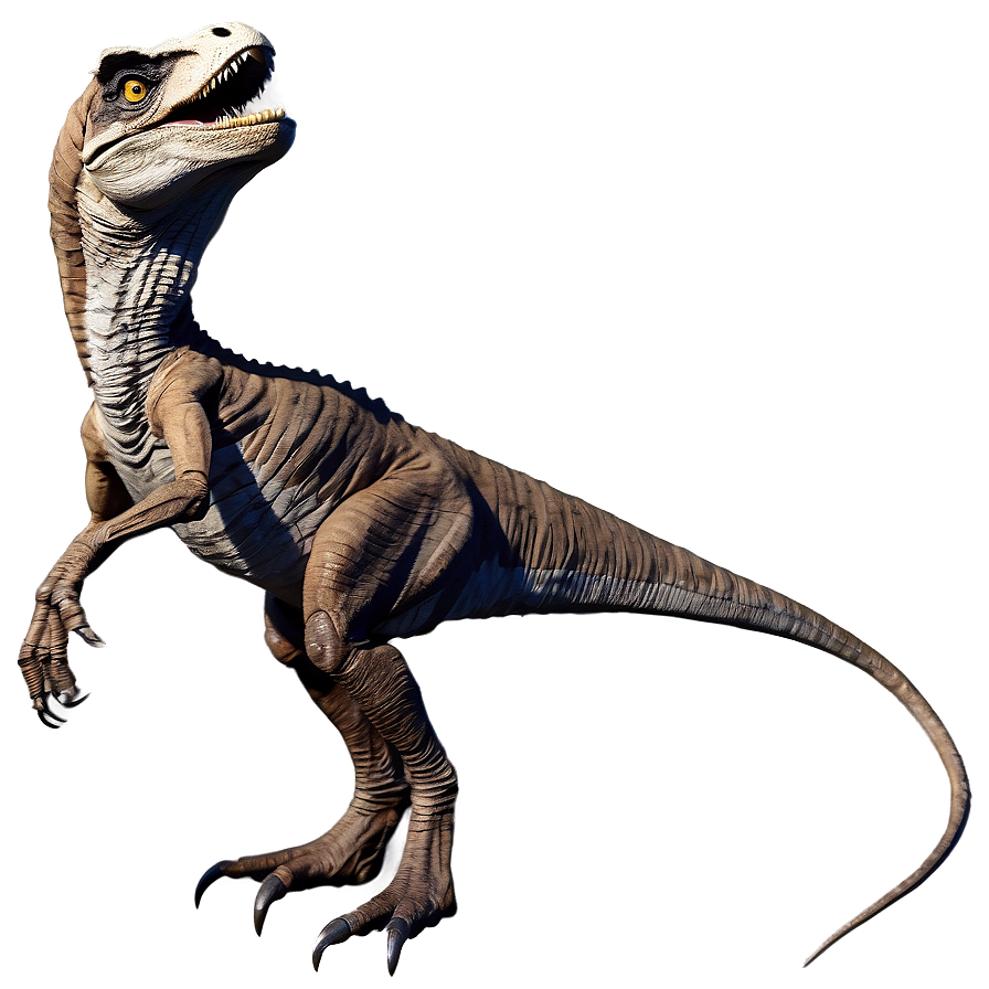 Velociraptor Fossil Replica Png Taq53 PNG