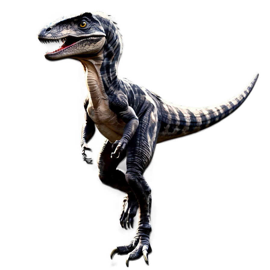 Velociraptor Illustration Png 06202024 PNG