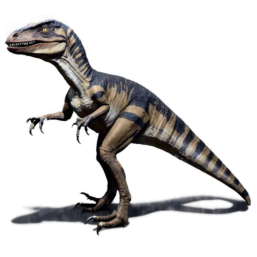 Velociraptor Social Behavior Png 1 PNG