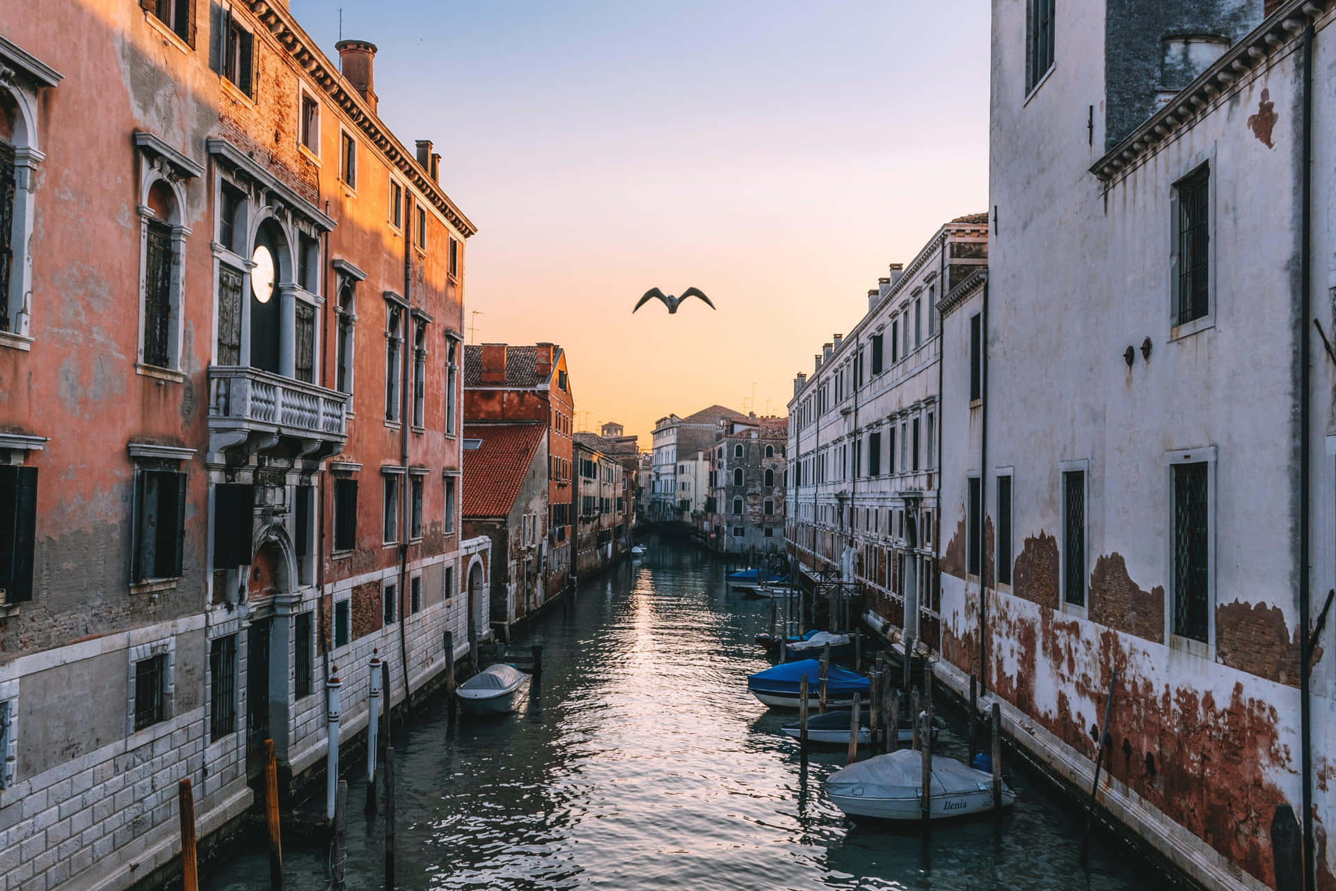 Venetian Canal Sunset Glow Wallpaper