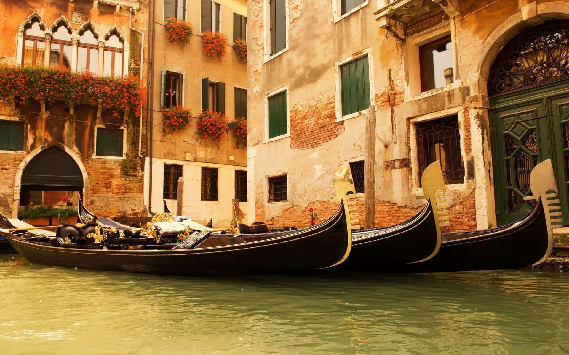 Venetian Gondolas Canal Charm Wallpaper