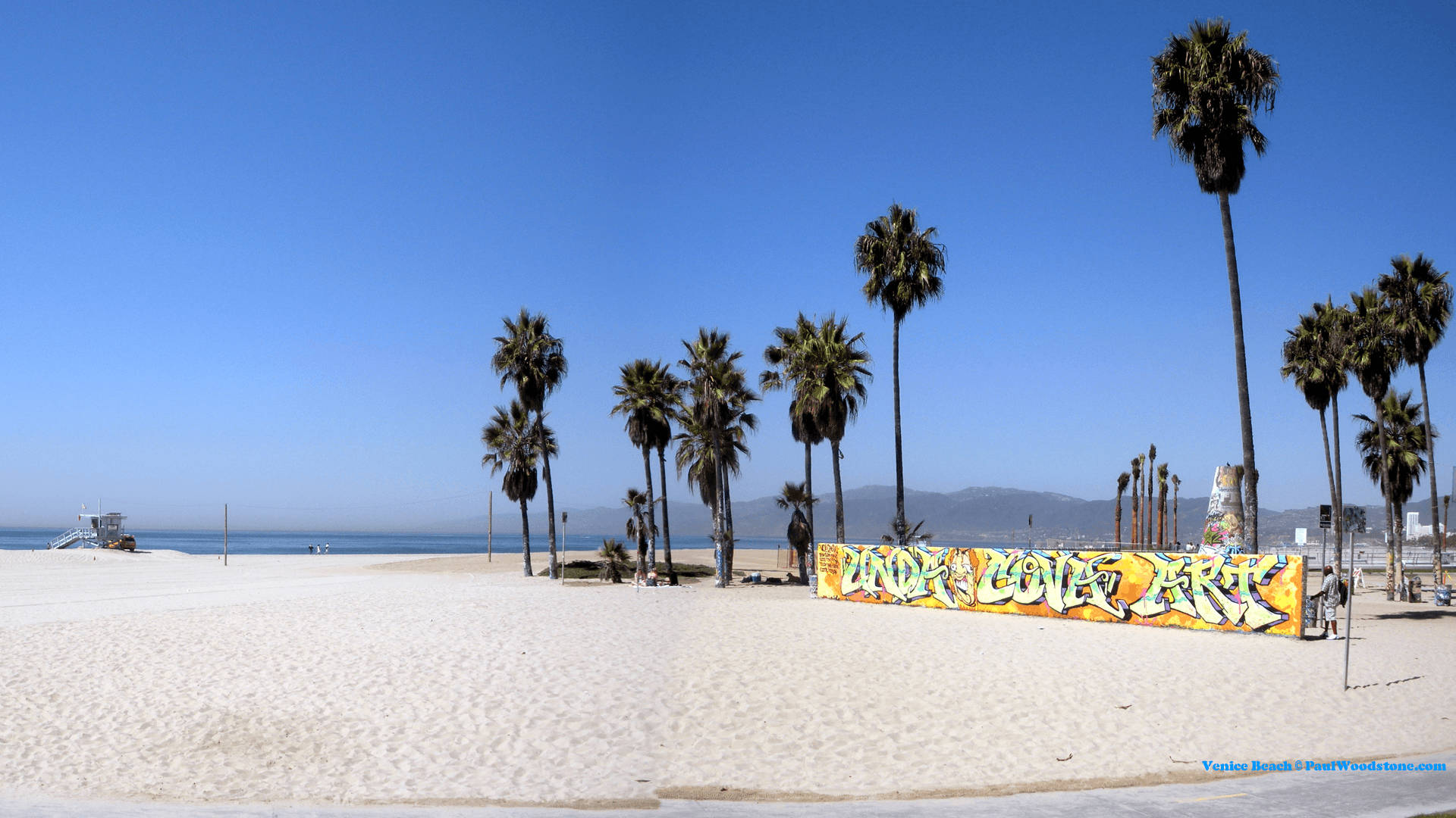 Venice Beach Graffiti Wall Wallpaper